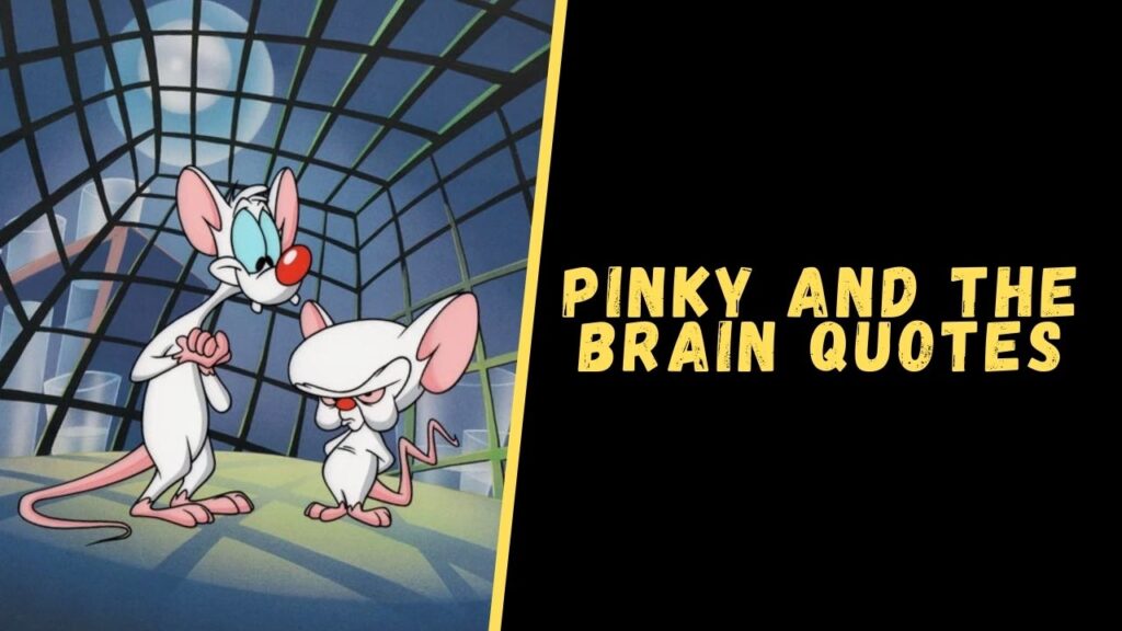 pinky and the brain quotes