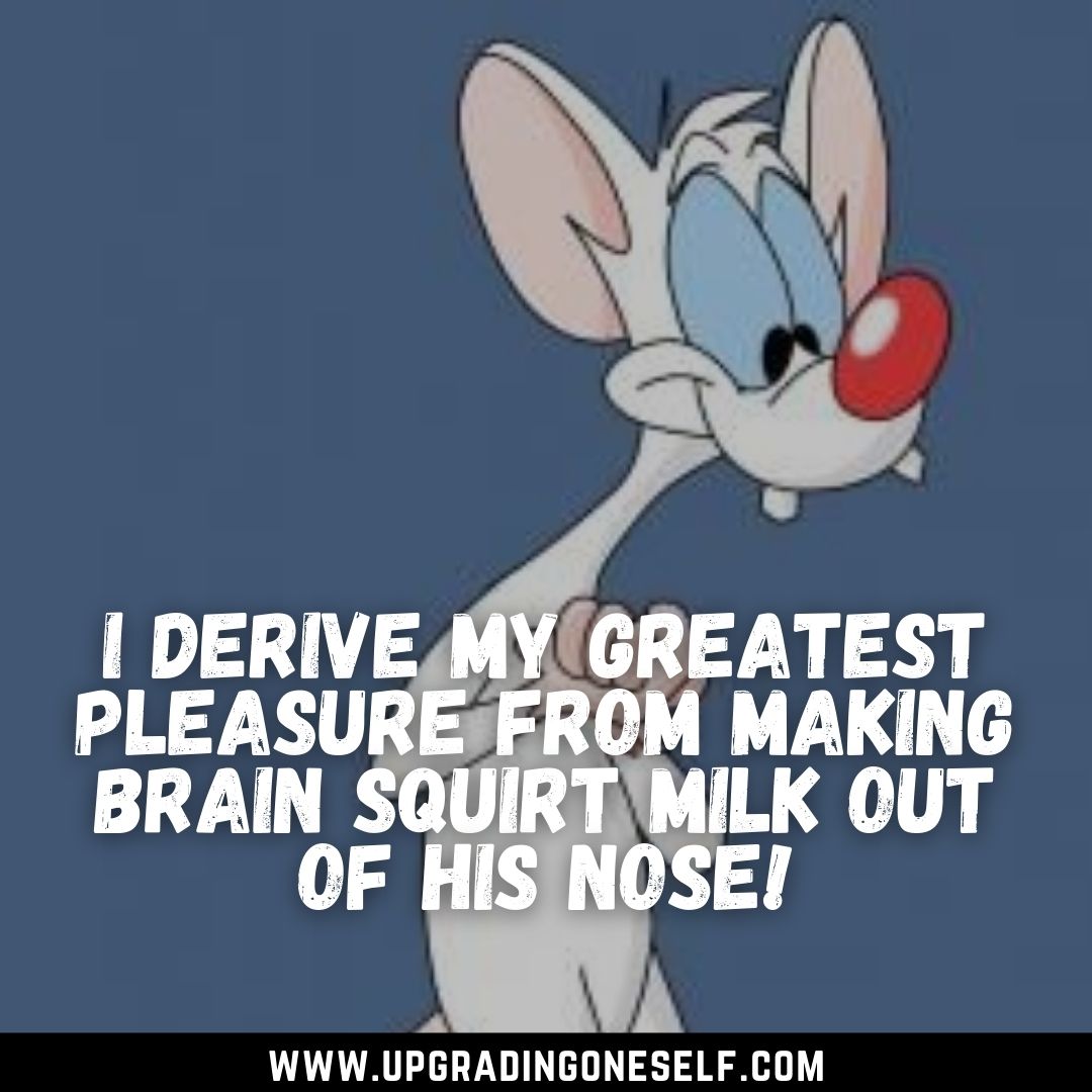 Top 15 Memorable Quotes From Pinky and the Brain Series