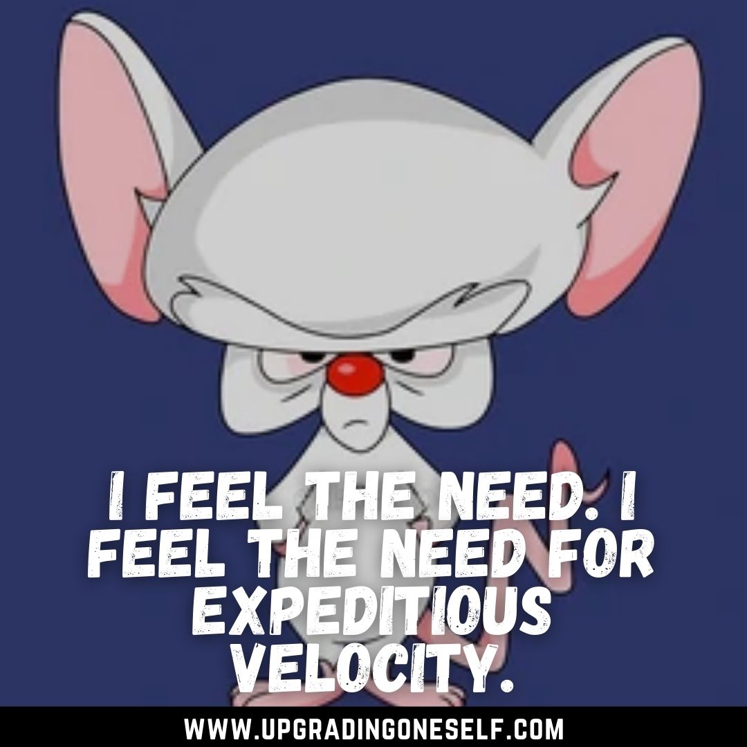 Top 15 Memorable Quotes From Pinky and the Brain Series