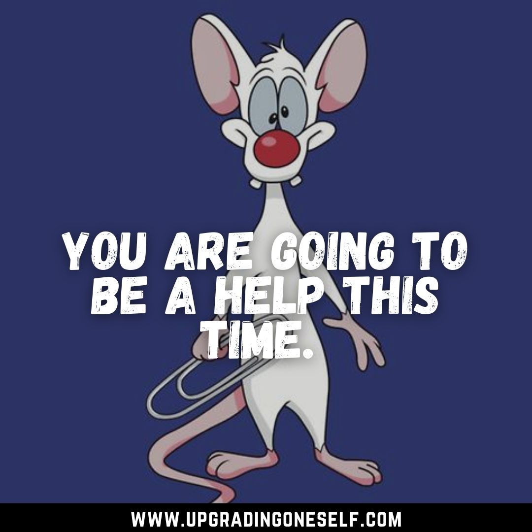 Top 15 Memorable Quotes From Pinky and the Brain Series