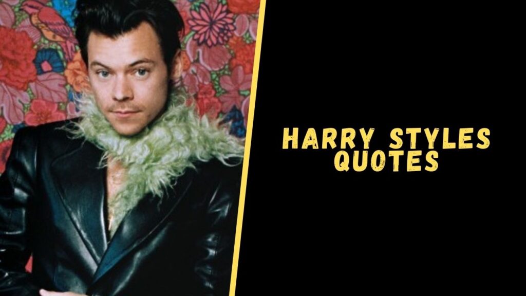 harry styles quotes