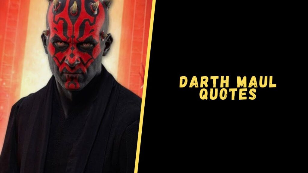 darth maul quotes