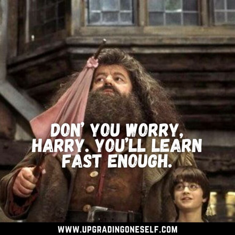 Top 15 Epic Quotes From Hagrid That Will Blow Your Mind