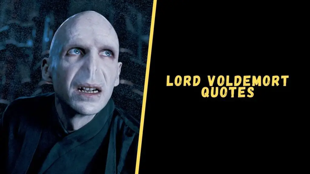 Voldemort quotes