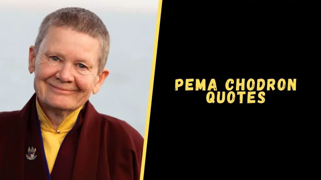 Pema Chodron quotes