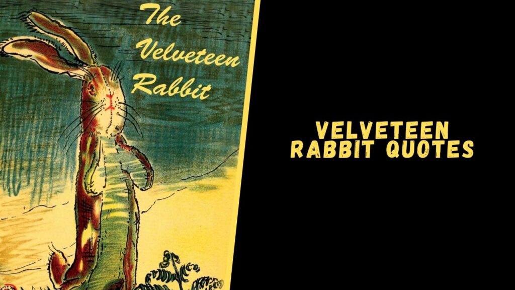 velveteen rabbit quotes