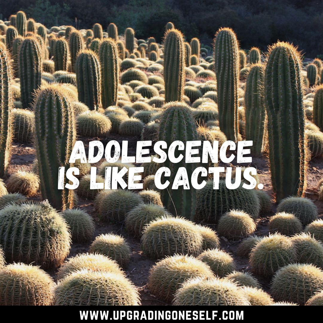 Top 17 Best Quotes About Cactus That Will Blow Your Mind