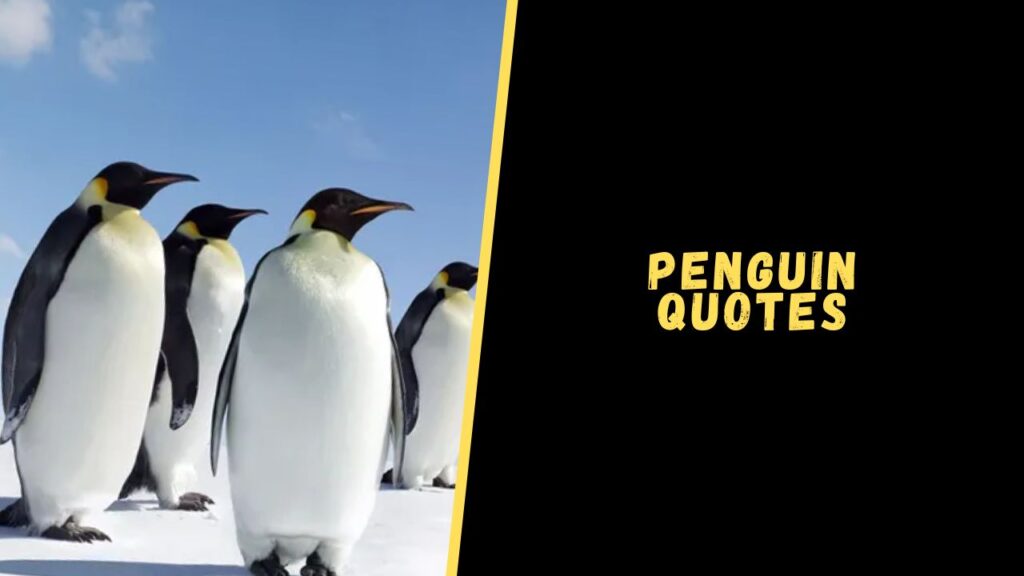 penguin quotes