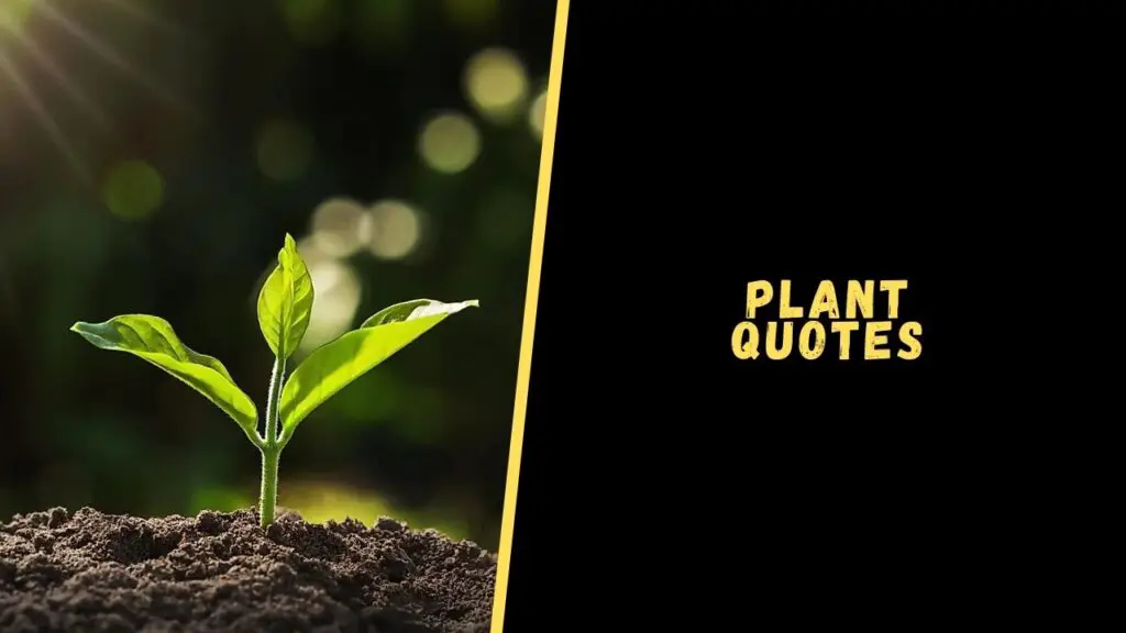 plant quotes