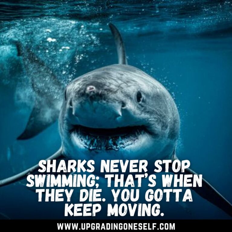 Top 15 Best Quotes About Shark To Blow Your Mind