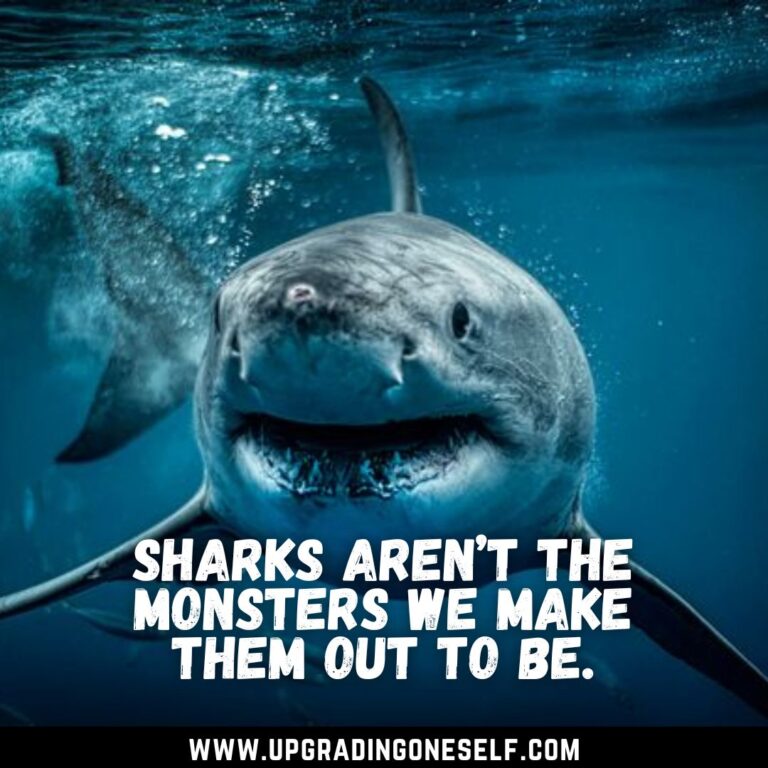 Top 15 Best Quotes About Shark To Blow Your Mind