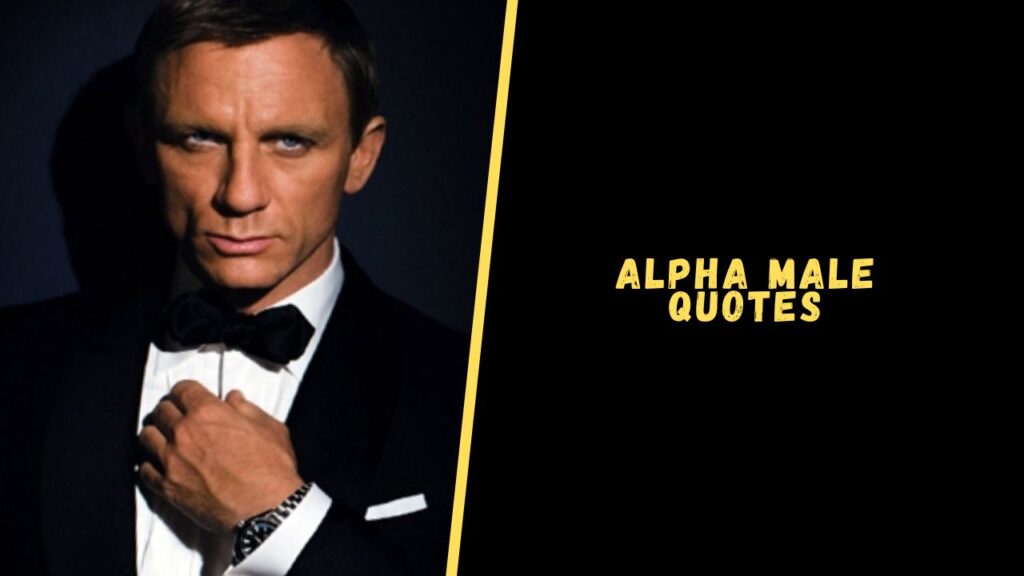 Alpha Male Quotes