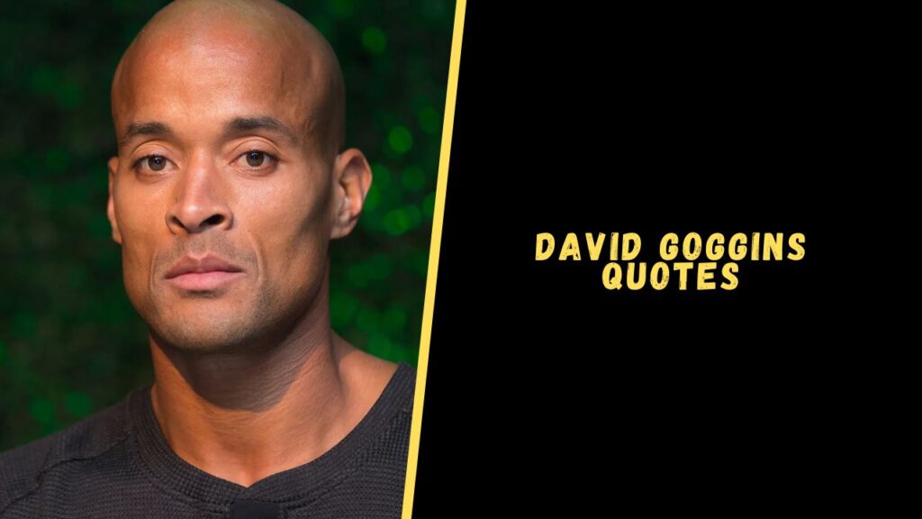 David Goggins quotes