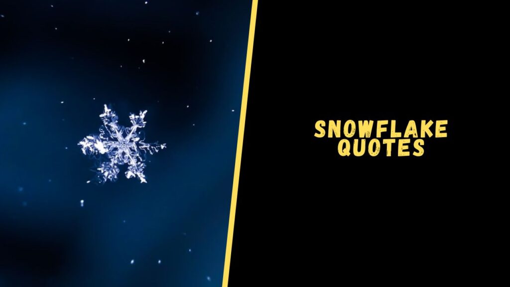 snowflake quotes