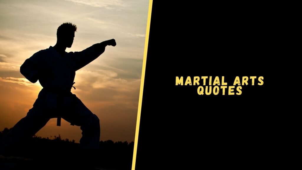 Martial Arts Quotes