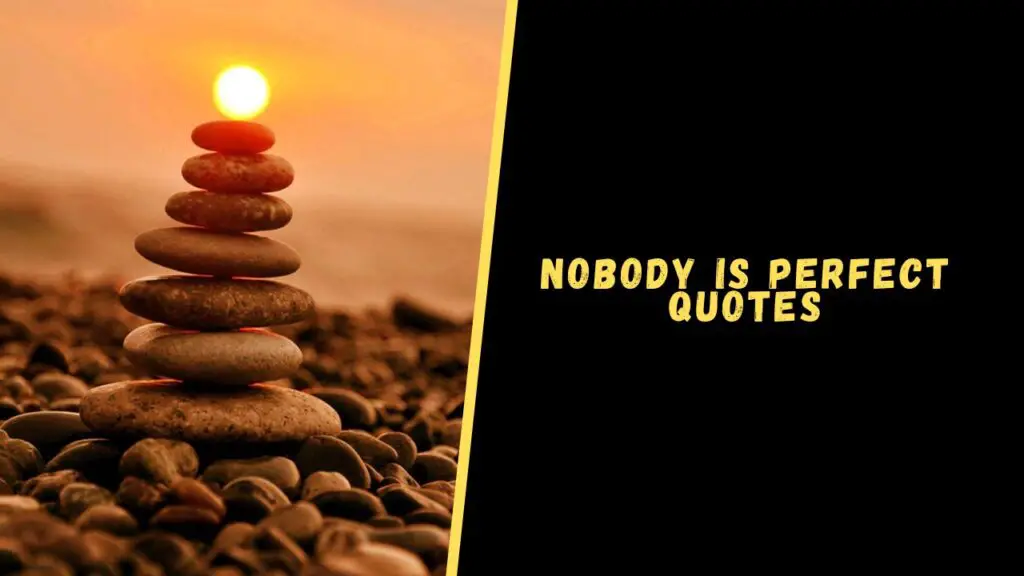 Nobody is Perfect quotes