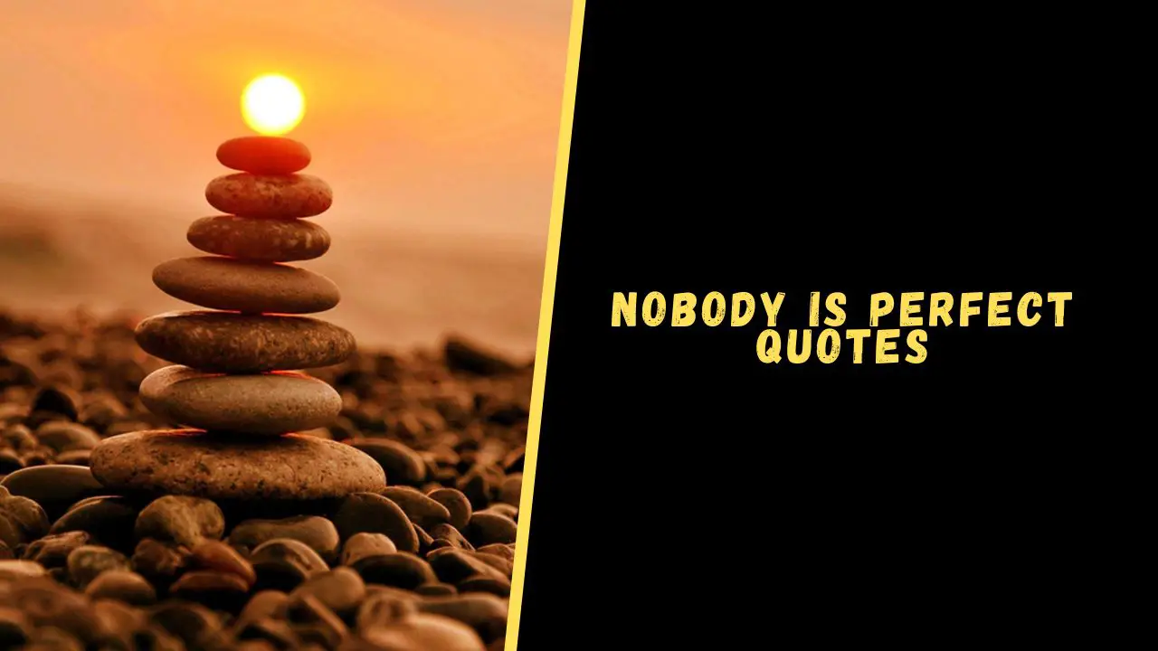 Top 15 Quotes About Nobody Is Perfect To Blow Your Mind