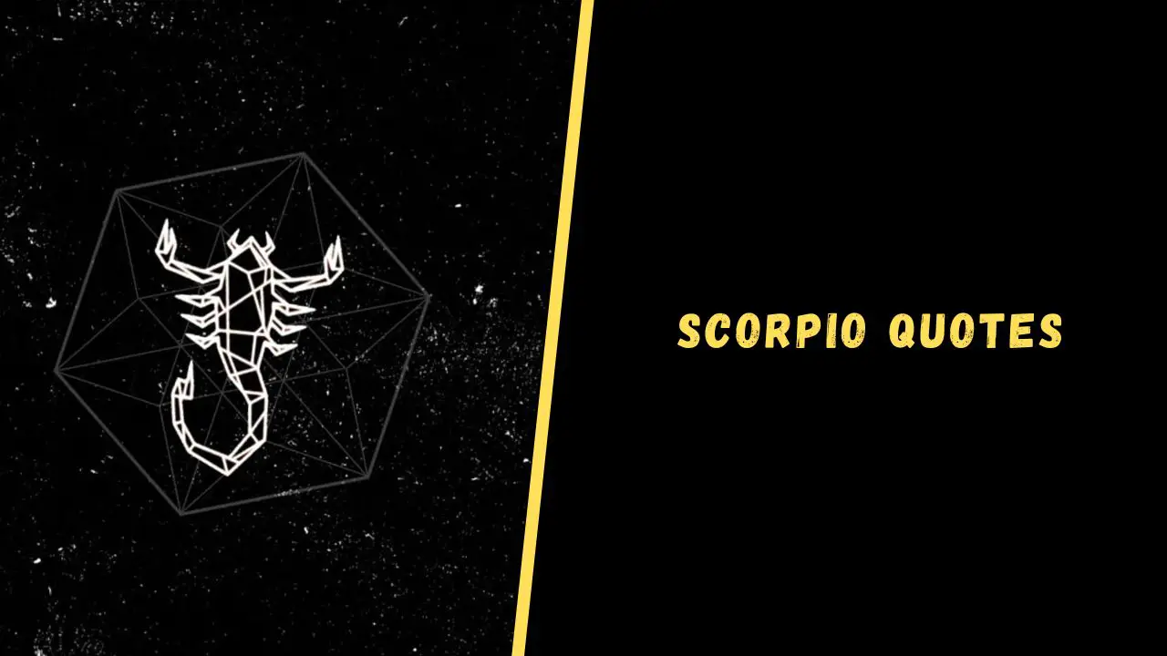 Top 20 Quotes About Scorpio That Will Blow Your Mind
