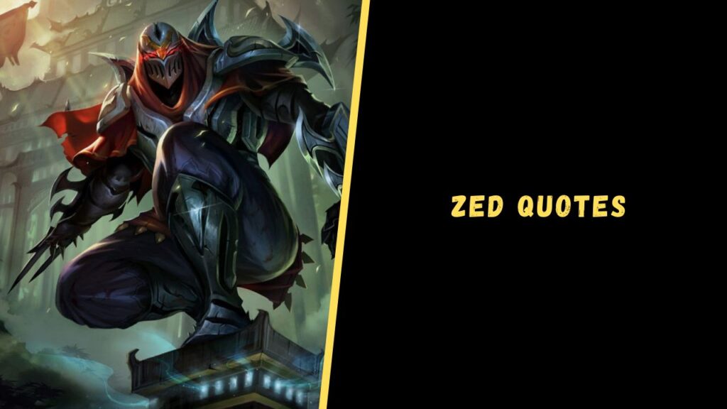 Zed quotes